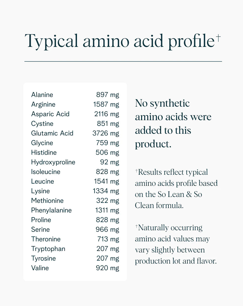 Organic Plant Protein Powder